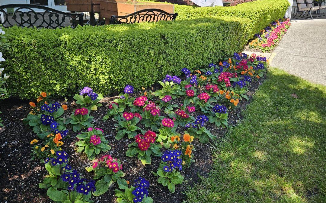 How Seasonal Color Plantings Transform Commercial Properties and Brand Perception