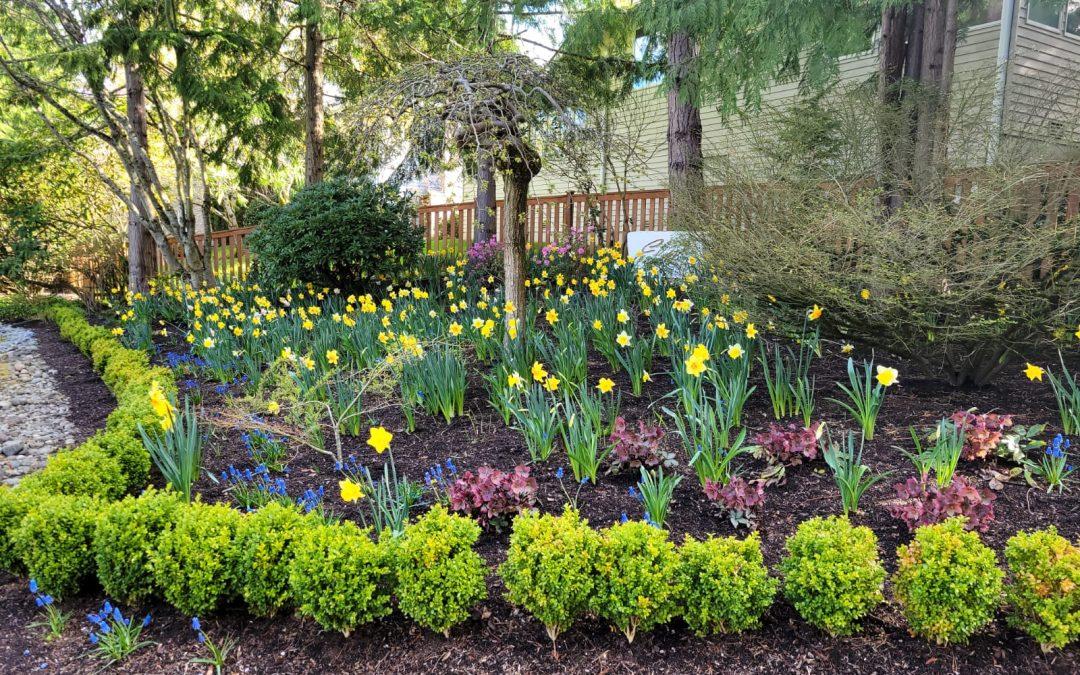 Best Practices for Quality Landscape Bed Maintenance