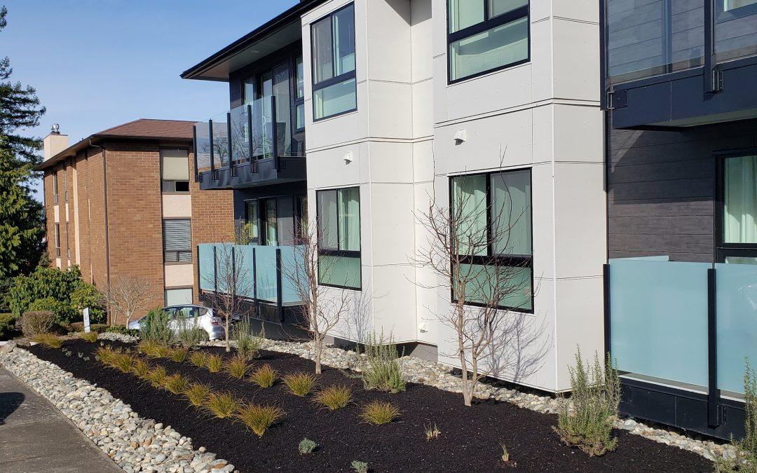 Right Plant, Right Place: A Smarter Approach to Commercial Landscaping