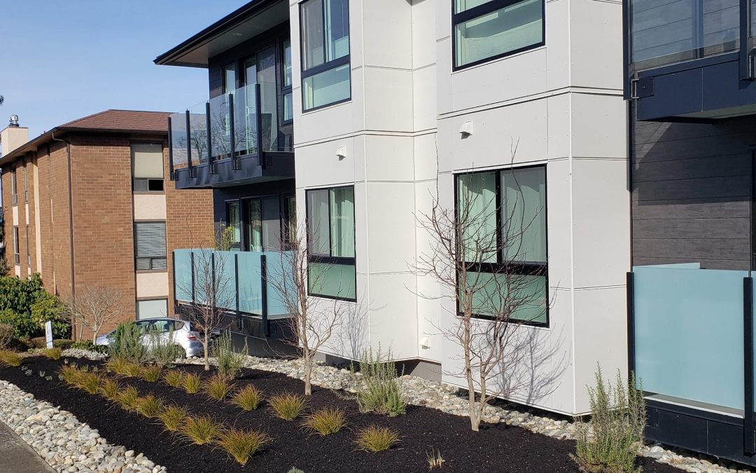Right Plant, Right Place: A Smarter Approach to Commercial Landscaping