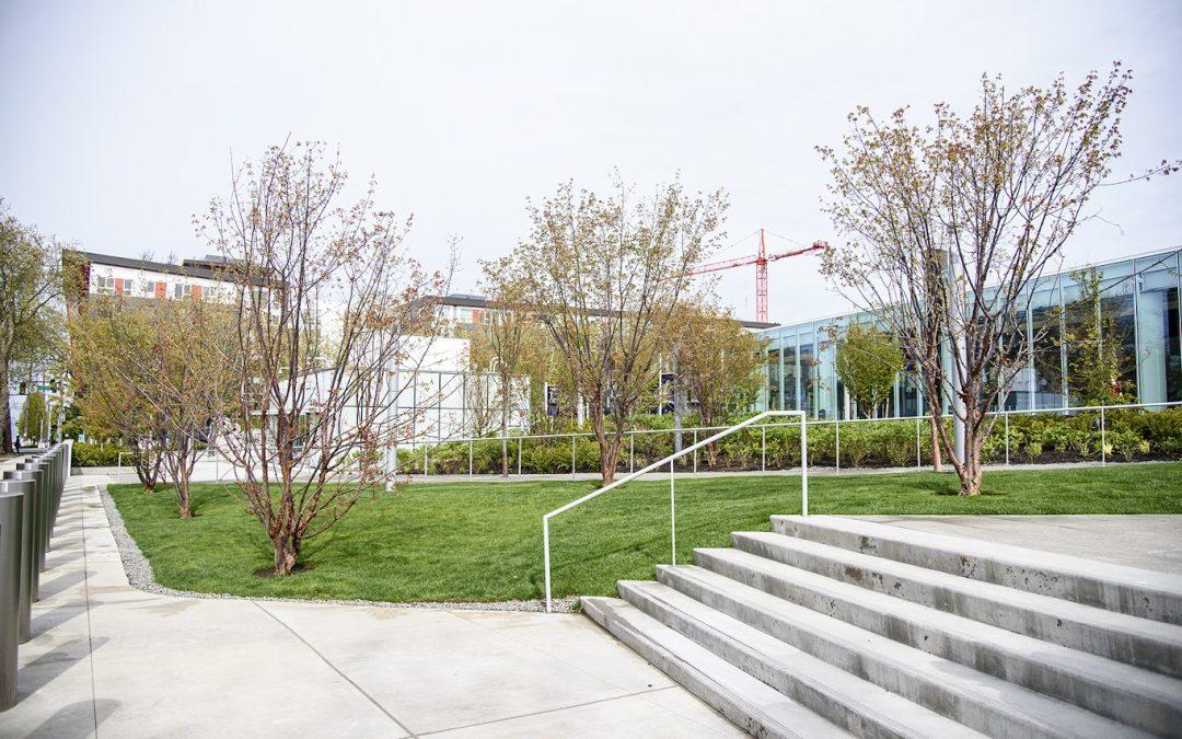 Dormant Pruning: How Avid Landscape Keeps Your Plants Healthy and Beautiful Through Winter