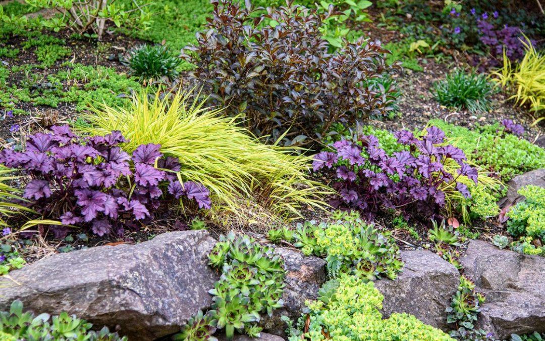 Spring Planting Guide for Pacific Northwest Commercial Properties
