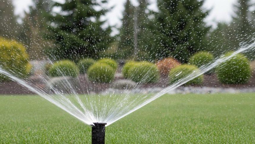 Spring Irrigation Activation for Commercial Properties in Seattle, Bellevue & Western Washington