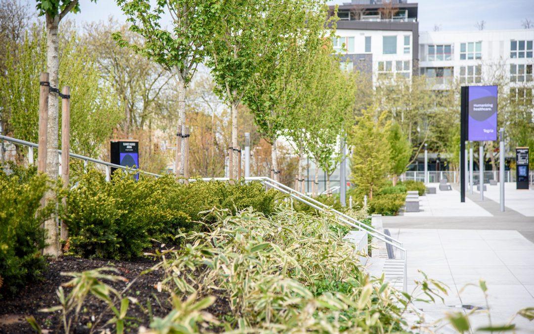 Stop Blaming Summer Heat. Here’s What’s Really Hurting Your Commercial Landscape